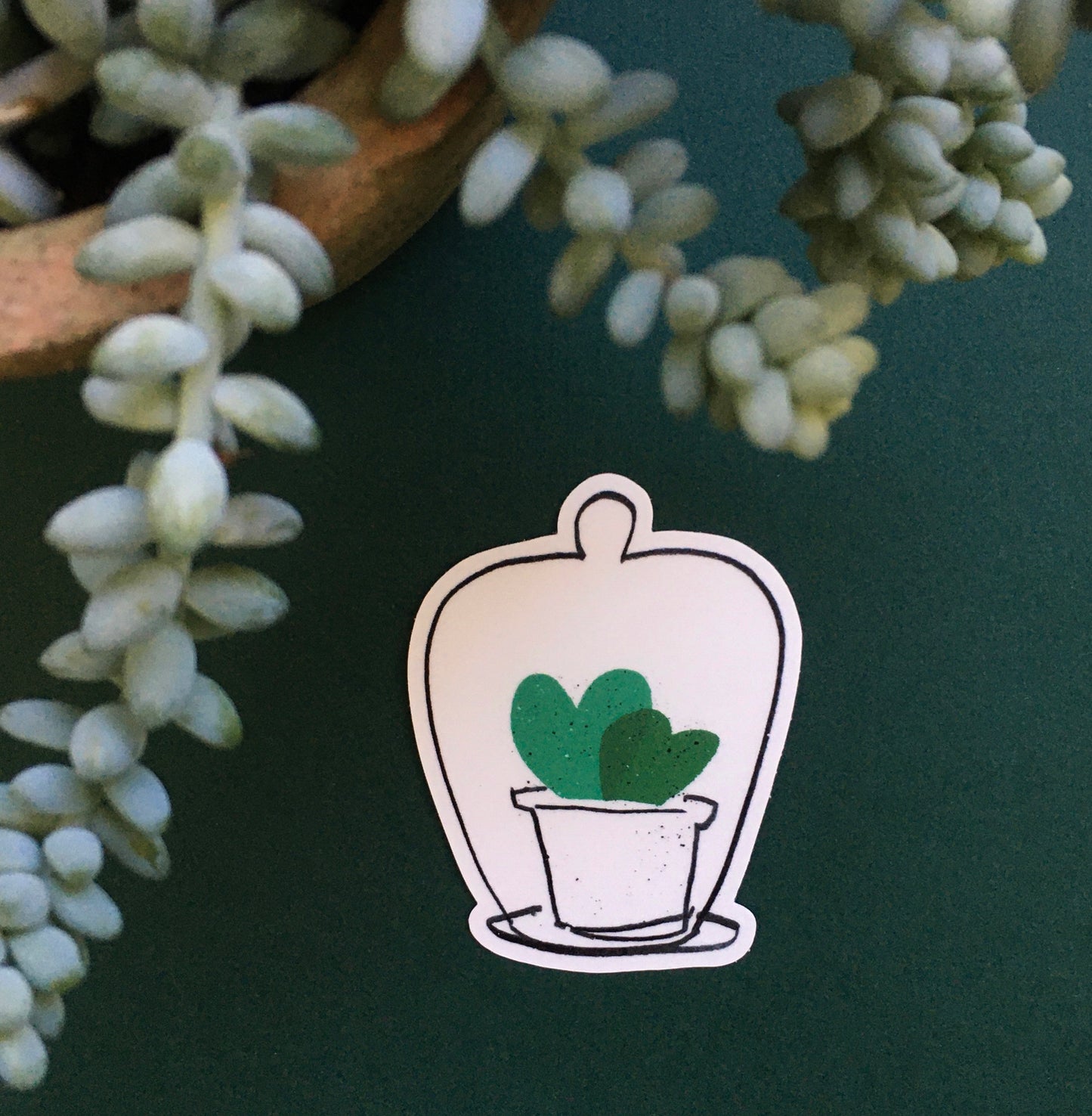 Sweetheart Hoya Cloche Sticker